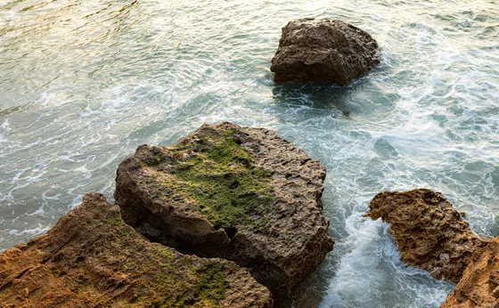 Three mossed boulders standing in white surf, seen from above