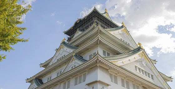 The castle keep from directly below, roofs against cloud