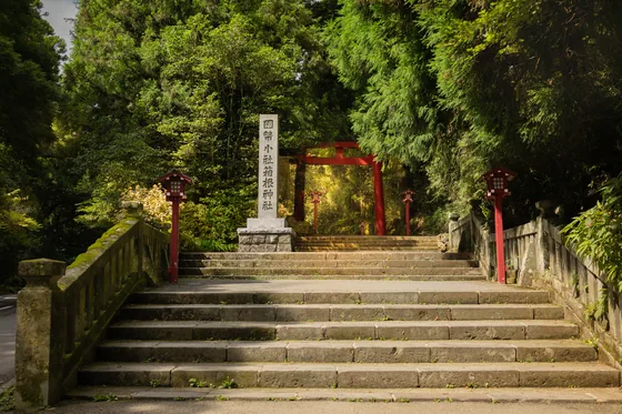 Broad stone steps climbing to a torii between cedars