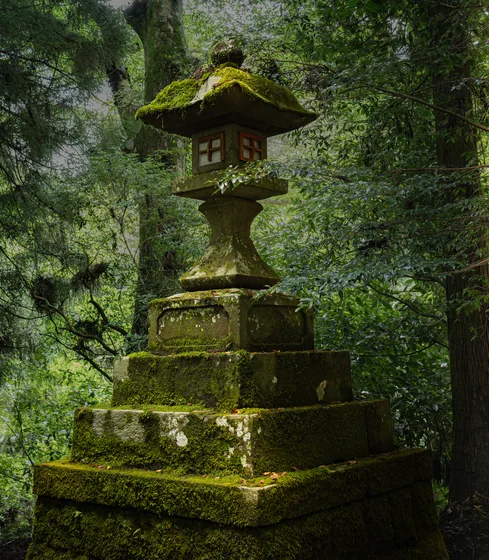 A stone lantern gone entirely to moss in deep forest